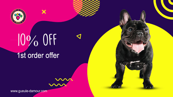 -10% discount on your first order!